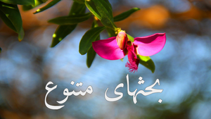 شرح معنای صلوات بر محمد وآل محمد